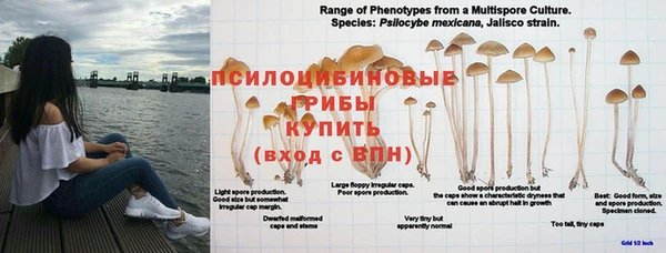 наркотики Алзамай