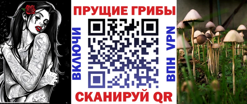 магазин продажи наркотиков Островной Галлюциногенные грибы Cubensis